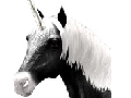 Image du site